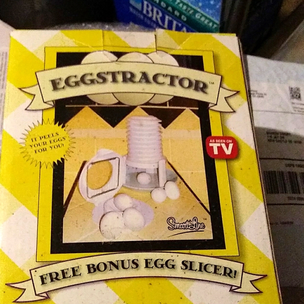 Egg attractor.  New